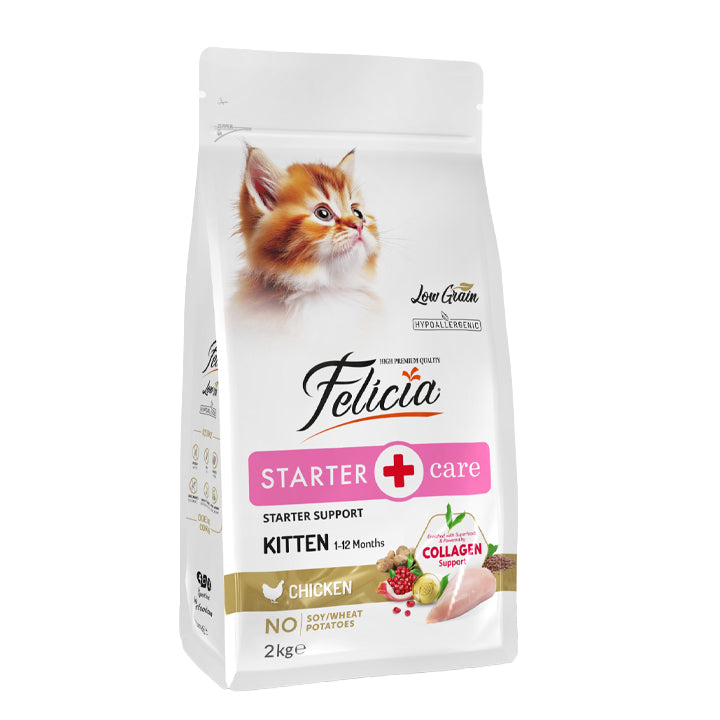 Felicia Starter Care Kitten With Chicken