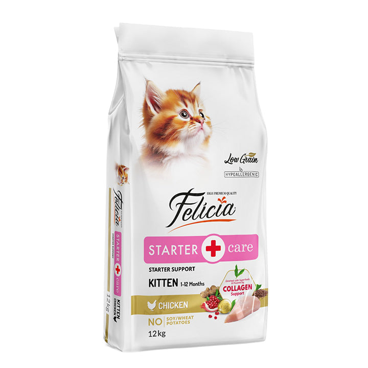 Felicia Starter Care Kitten With Chicken
