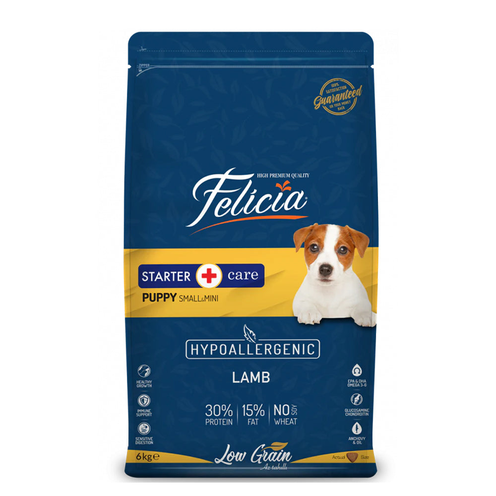 Felicia Starter Care Puppy With Lamb